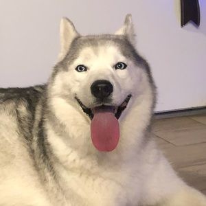 Meet your Posher, Nick